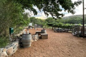 Arizona Winery All-Inclusive Tour with Lunch & Tastings - Price and What You Actually Get for $199