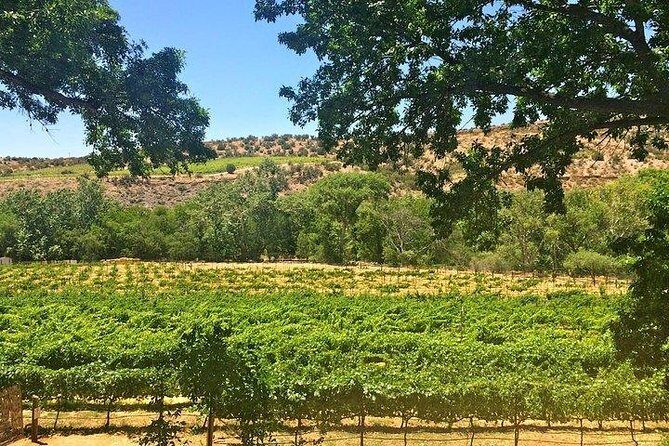 Bliss - Sedona’s Most Luxurious Wine Tour - Lunch Included! - Stop 4: Javelina Leap Vineyard, Winery, and Bistro for Award-Winning Wines