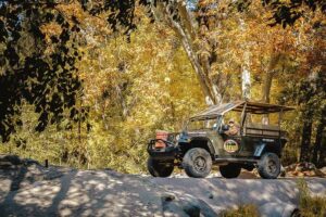 From Sedona: 1.5-Hour Oak Creek Canyon Jeep Pavement Tour - The canyon drive: fault-line, cliffs, and the view from the middle