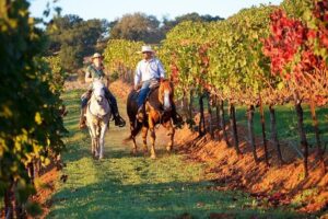 Guided Horseback Tour only 30 mins from Sedona. - Your 1-Hour Guided Ride: What the Time Feels Like
