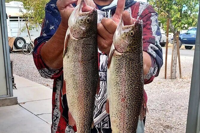 Kayak Fishing on the Verde 4hr Cottonwood, AZ 20Min From Sedona - Step-by-Step Day Flow: What Happens After Launch