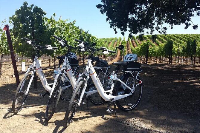 Pedal and Paddle Wine Tour in Arizona - The Verde River float: instruction first, fun second