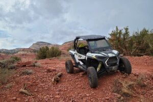 Polaris RZR 2 seater Half Day rental - The Polaris Extras That Actually Matter: Ice, Music, and Comfort