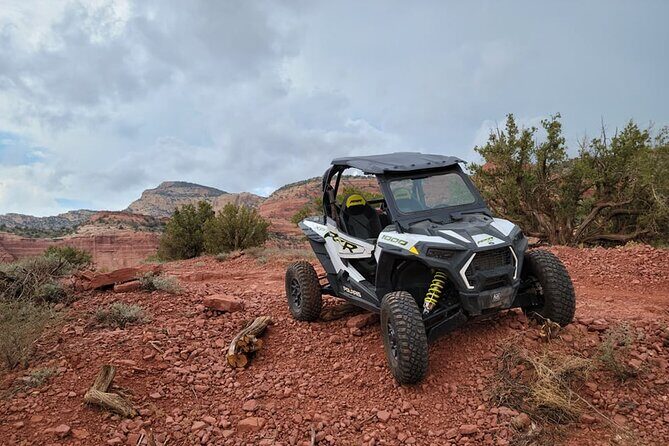 Polaris RZR 2 seater Half Day rental - The Polaris Extras That Actually Matter: Ice, Music, and Comfort