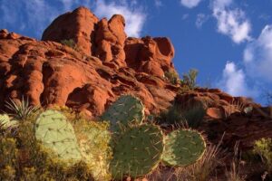 Sedona Red Rocks Outback Tour: Scenic with mild off-roading - Price and value: is $111.86 worth it for 2 hours?