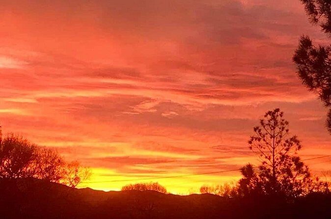Sunrise Wildlife Safari Tour by Jeep from Sedona - Who should book this sunrise safari—and who might skip it