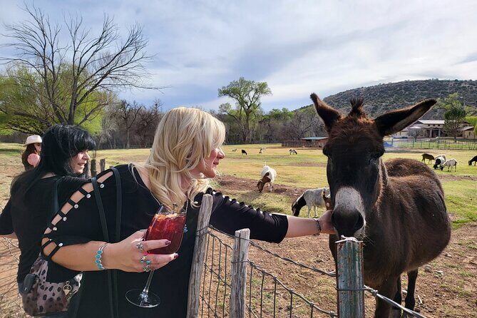 Voted Best in Sedona- Excellent Value Private Wine Tour! - Private and customized: how the day stays about your tastes